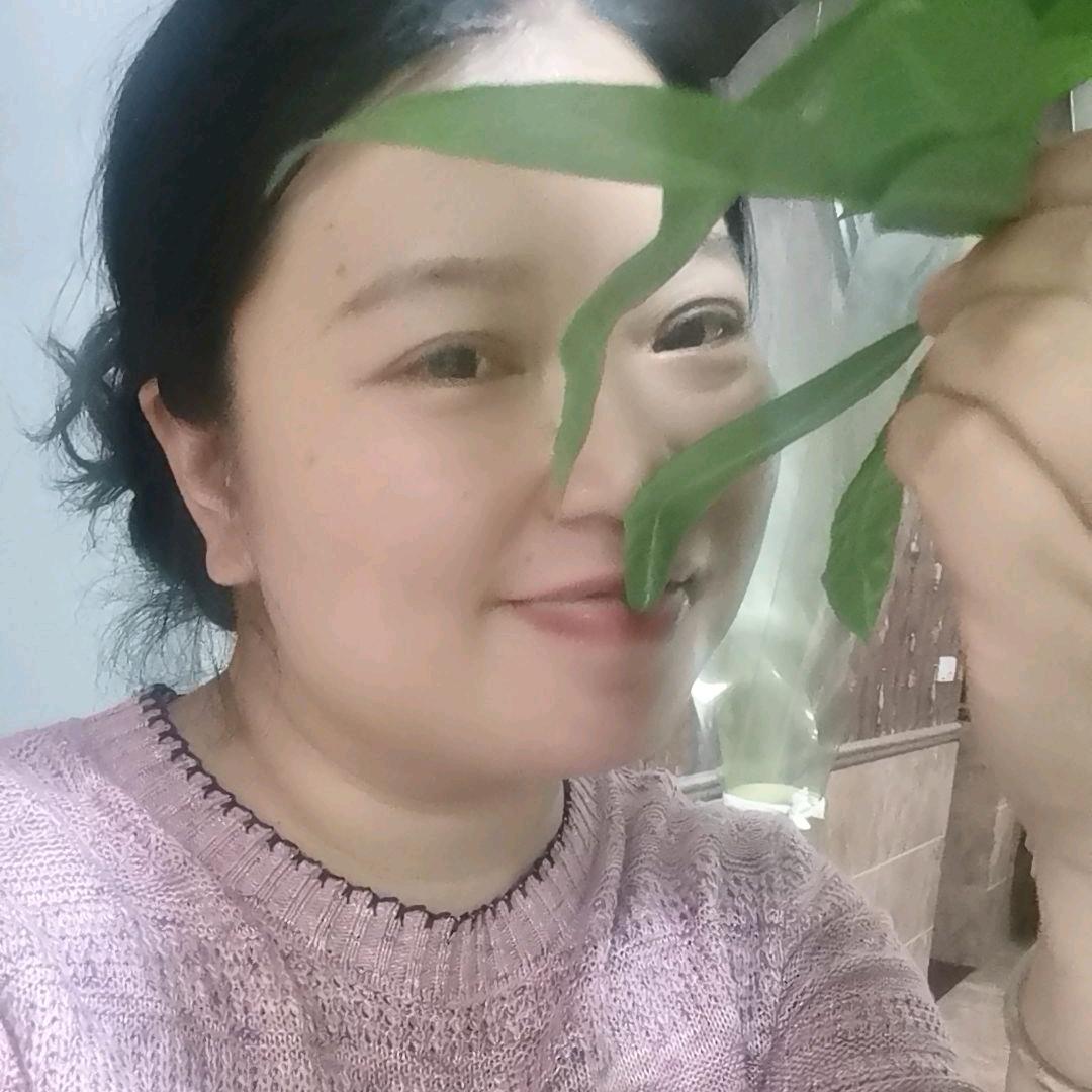 感恩的心