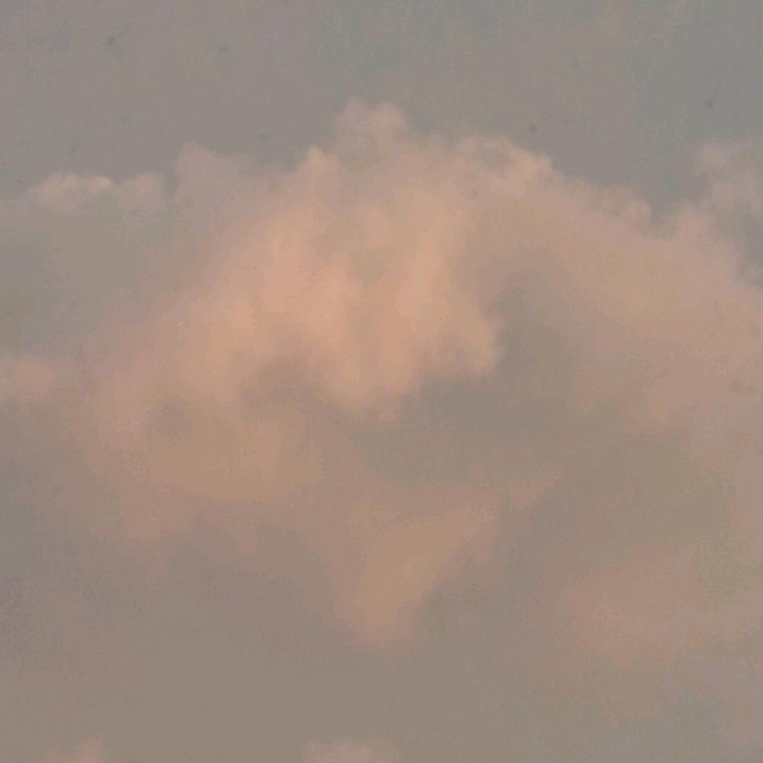 转世投胎继续干活的肥肥大胖兔