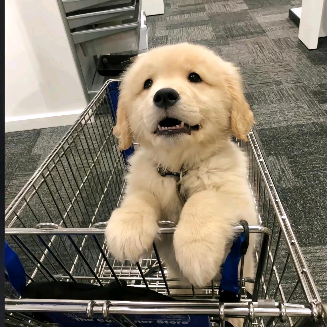 。。。。。。。。。