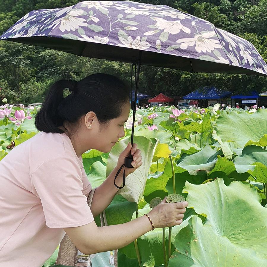 素素美食分享