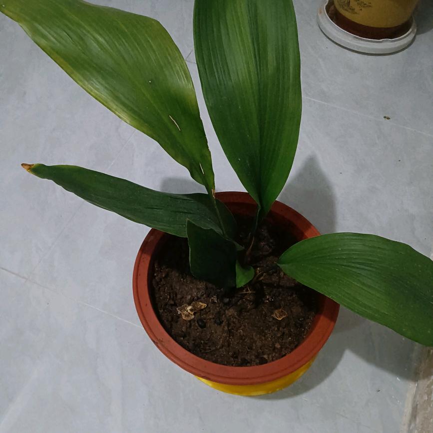 生命不息，奋斗不止！！！