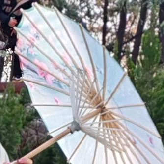 哈哈～(￣▽￣～)~