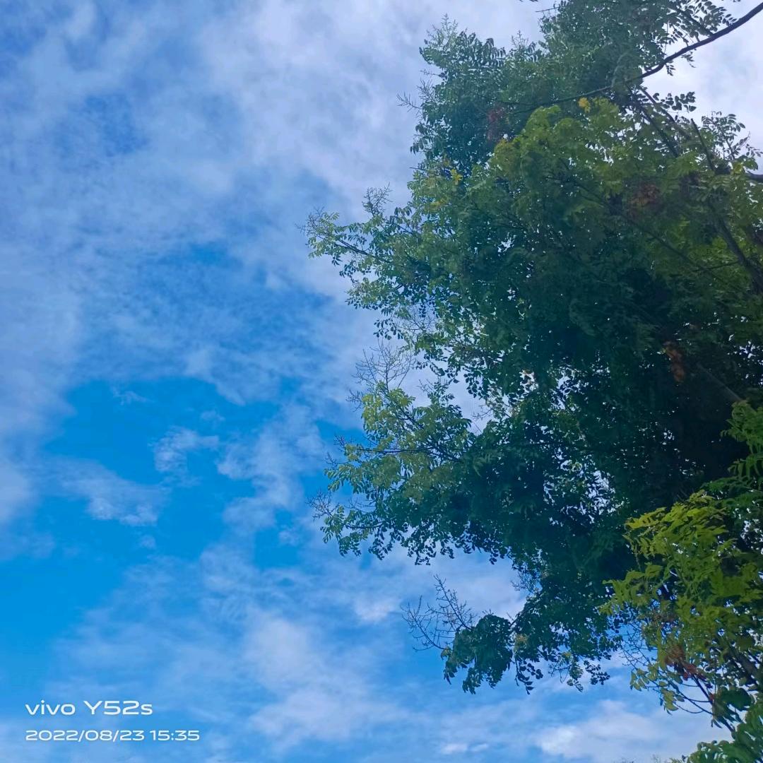 春雨