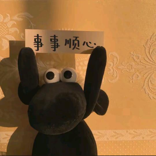 兔子分享
