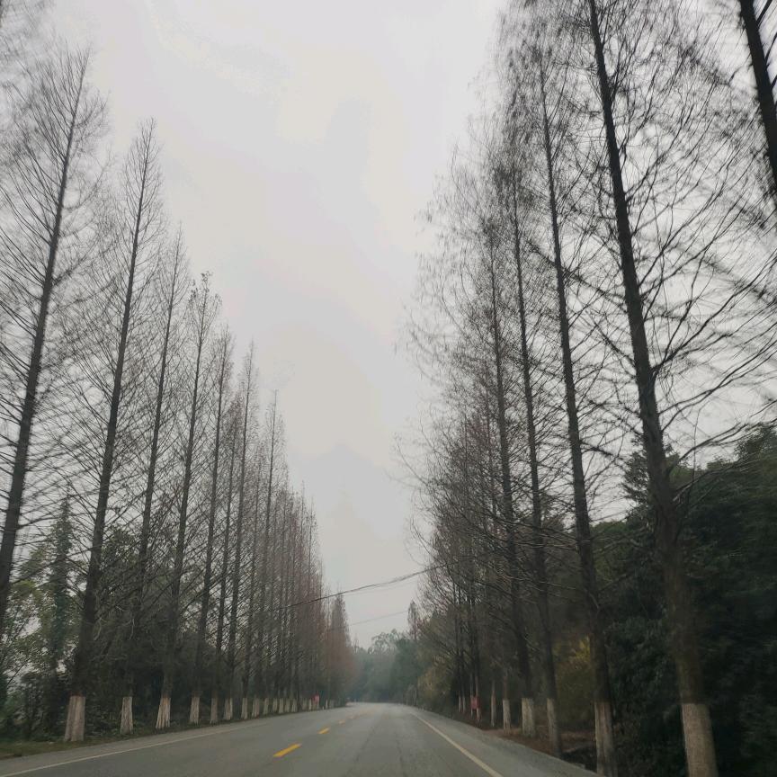 初雪
