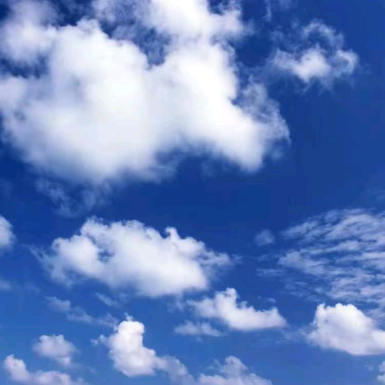 白云飘飘8197