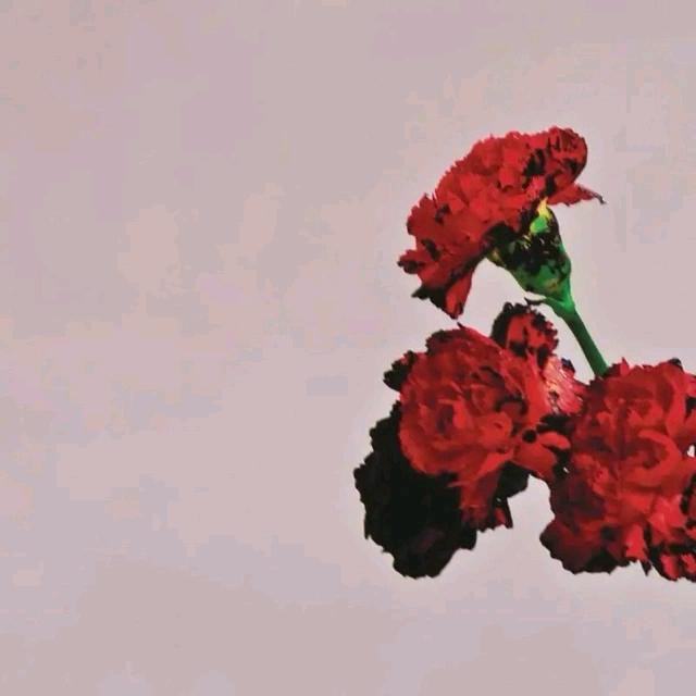 白也