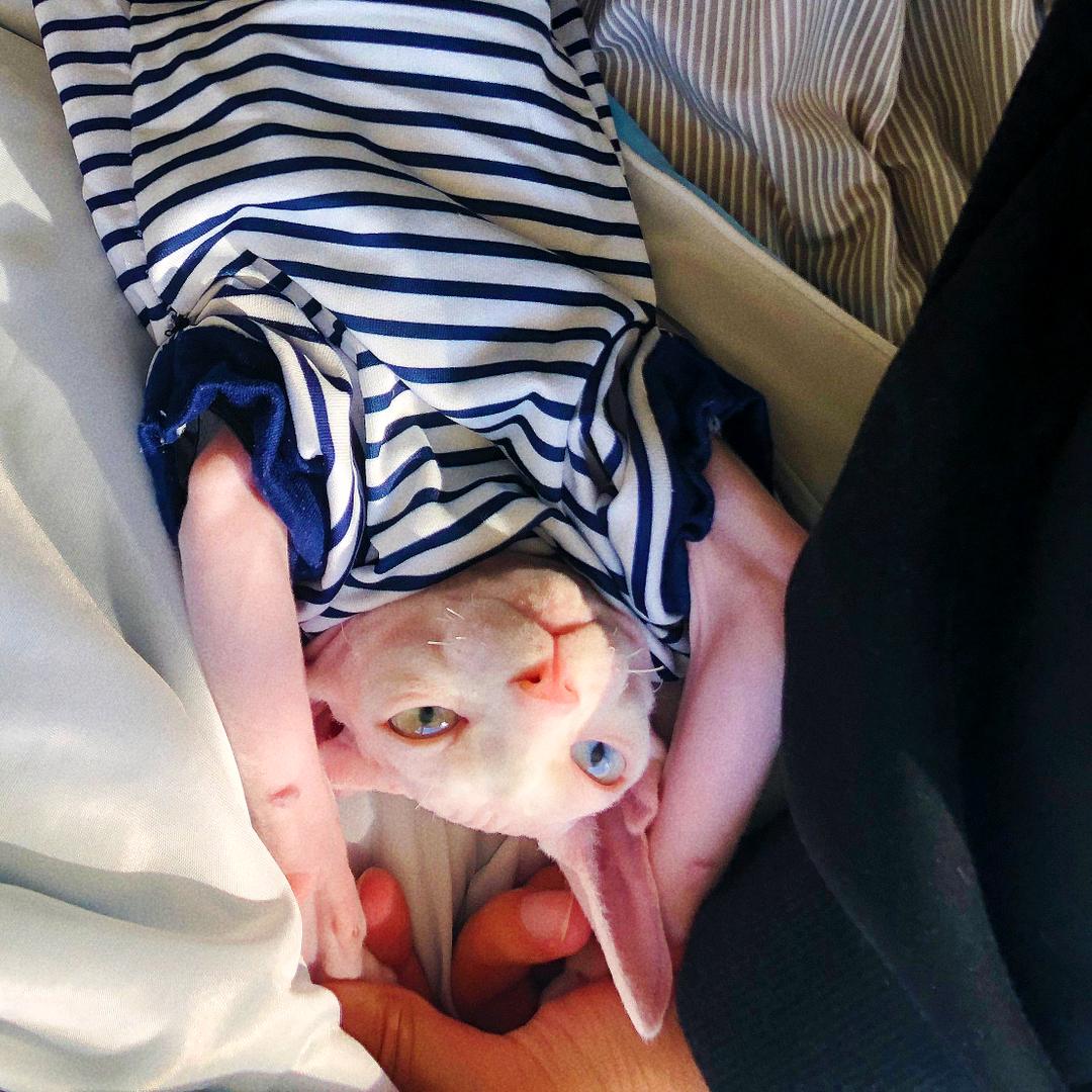 w88潮玩户外家居