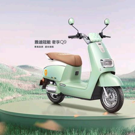 雅迪电动车 （昆仑御店）