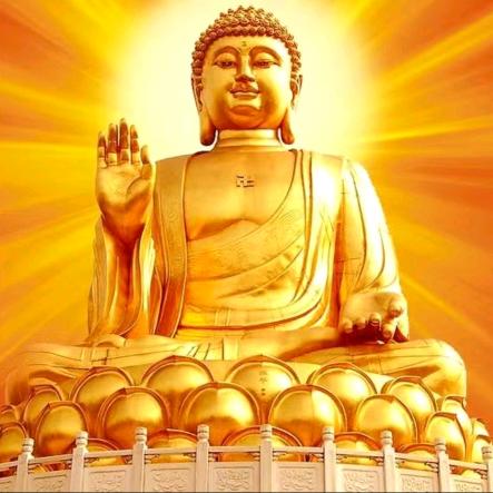 随缘佛法（如康）