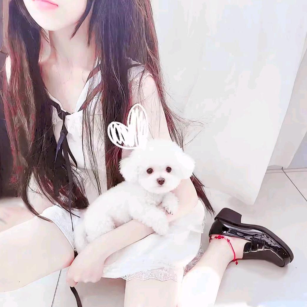 小苹果🍎