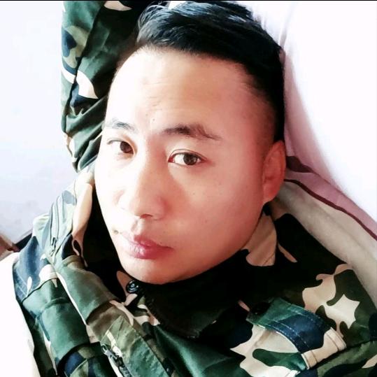 归来吧