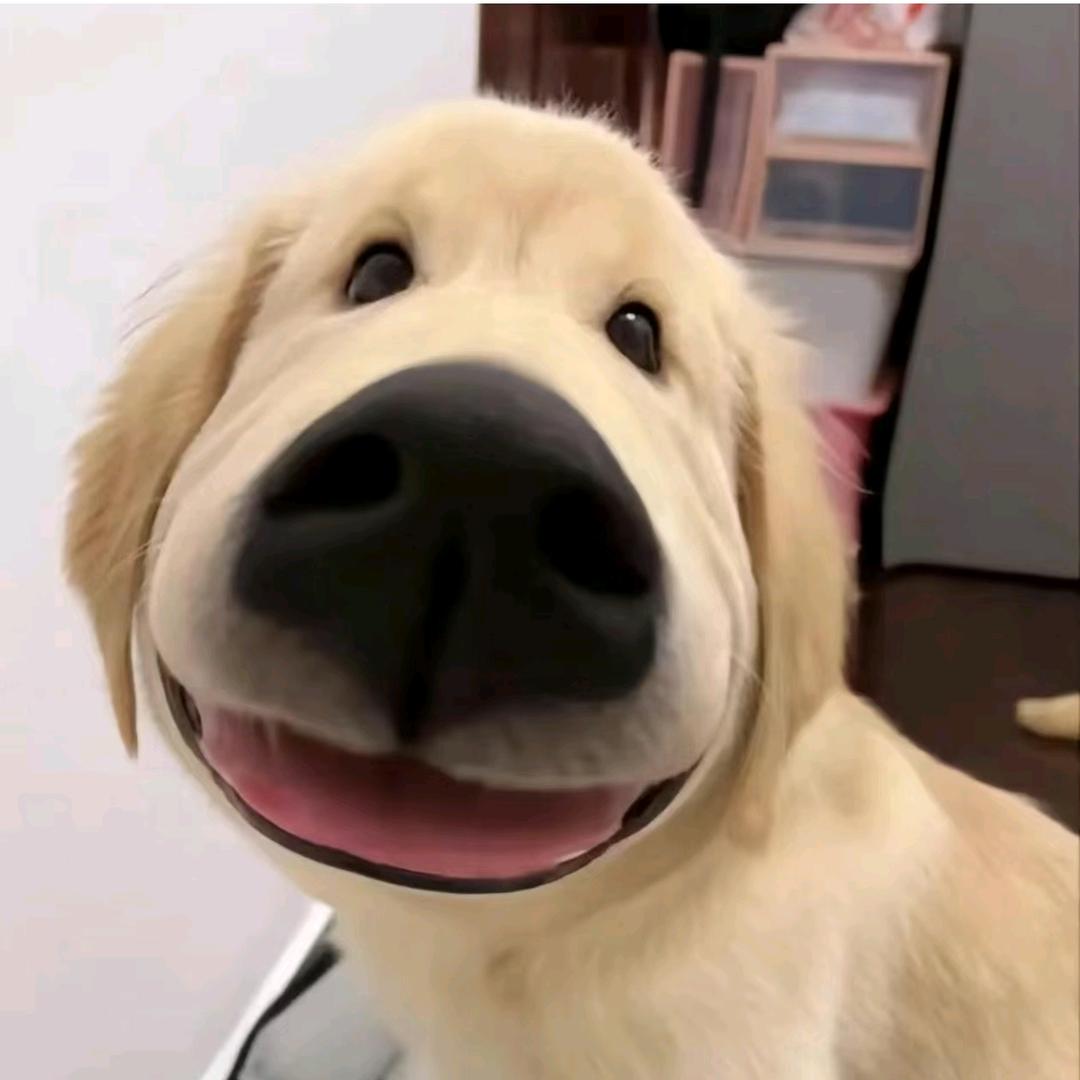 破音哥搞怪