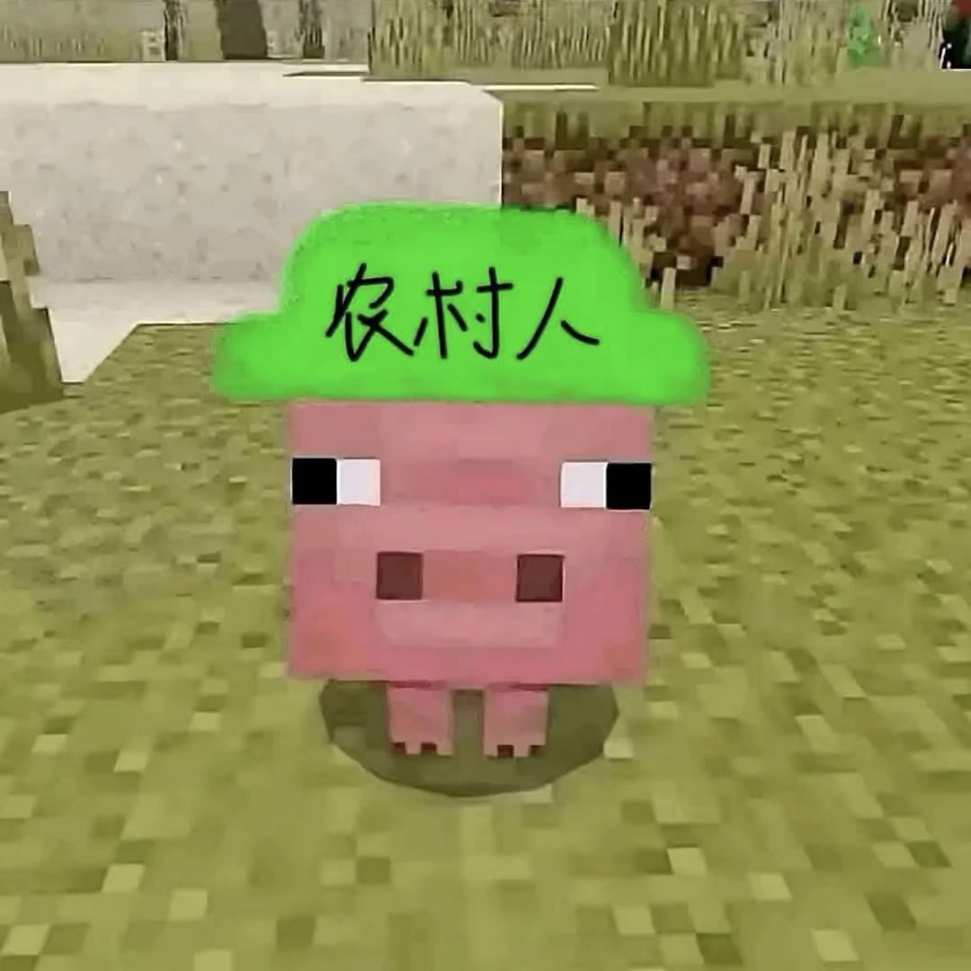 涛子