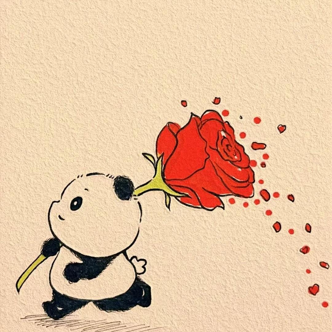 博晨之美