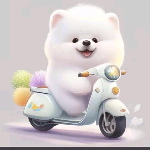 我叫翠花