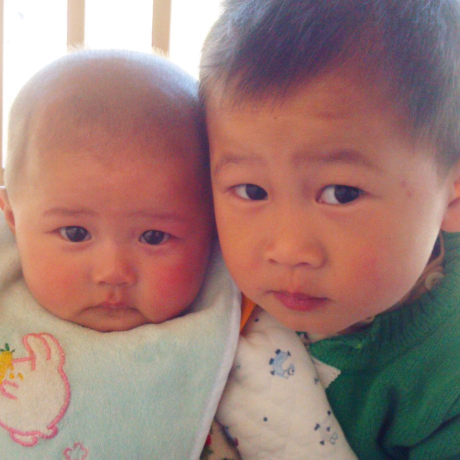 上树窟窿（自建房）