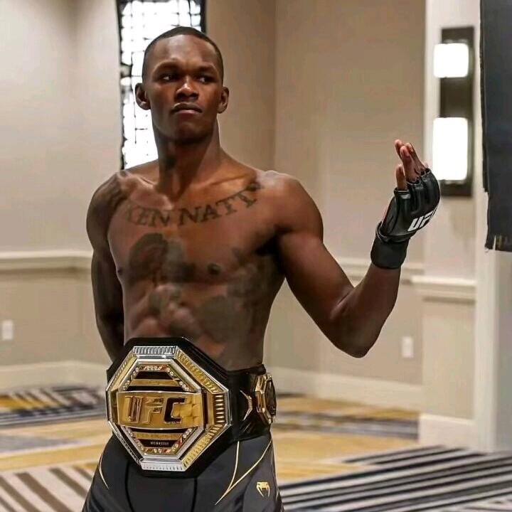 黑龙，Ufc