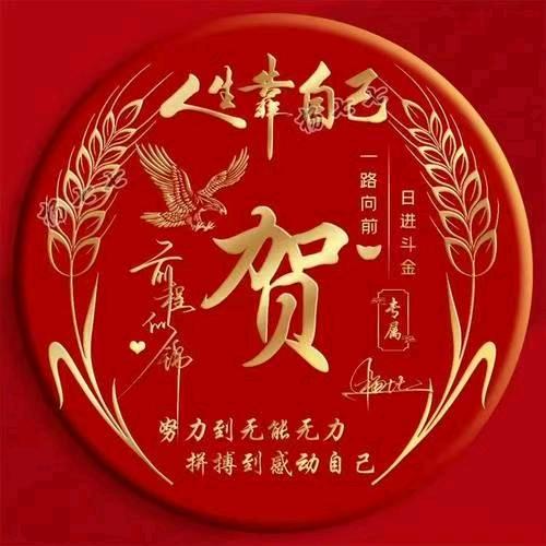 挖哥：洪鸿