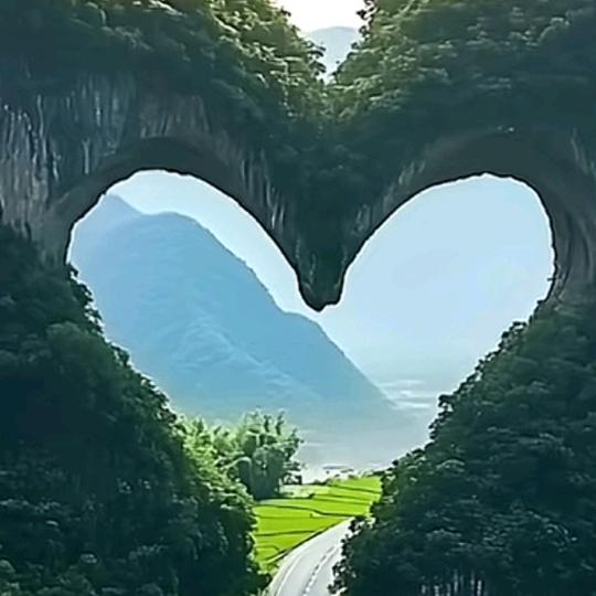 弄弄