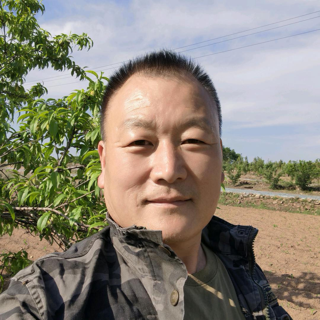 银发兵哥