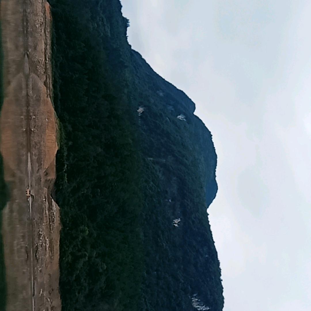 小柠檬