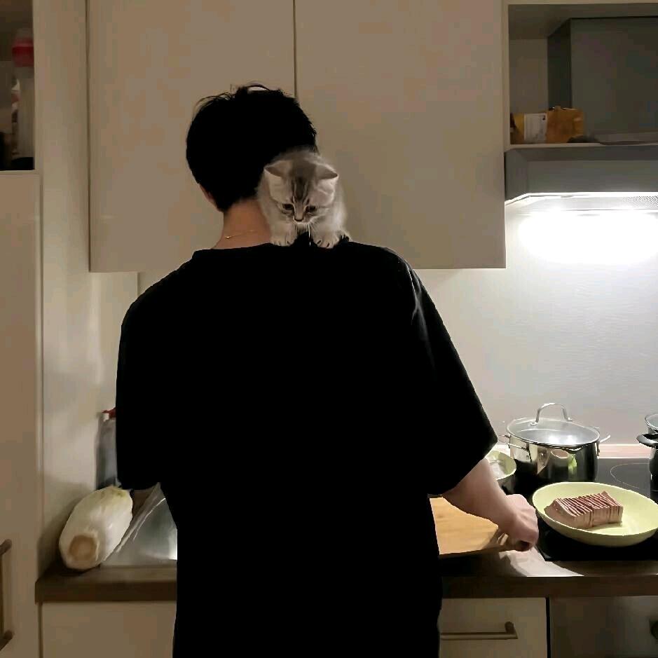 🦅封❤️锁爱，只看不刷