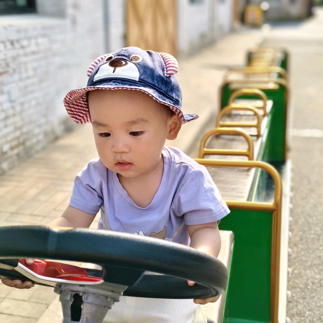 小海豚的智趣星球