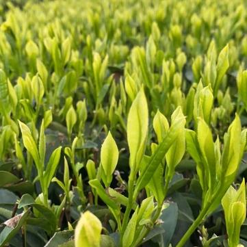 ❤💞美好的回忆