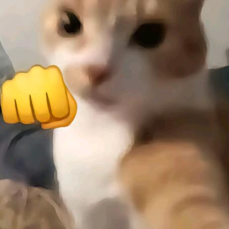 ——