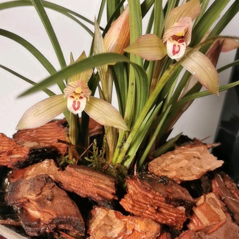 明发汽车货运公司