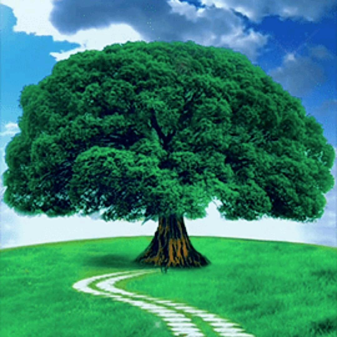 两个宝贝的外婆