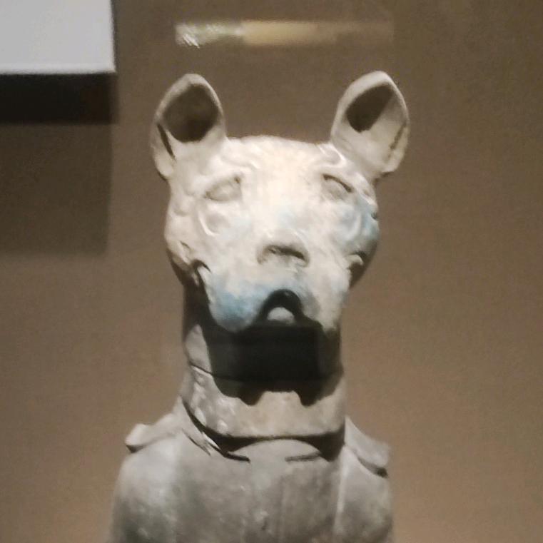 尼尔森