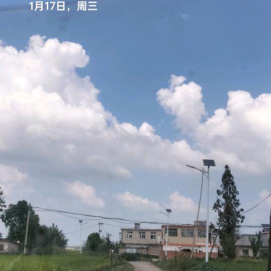 不如小草