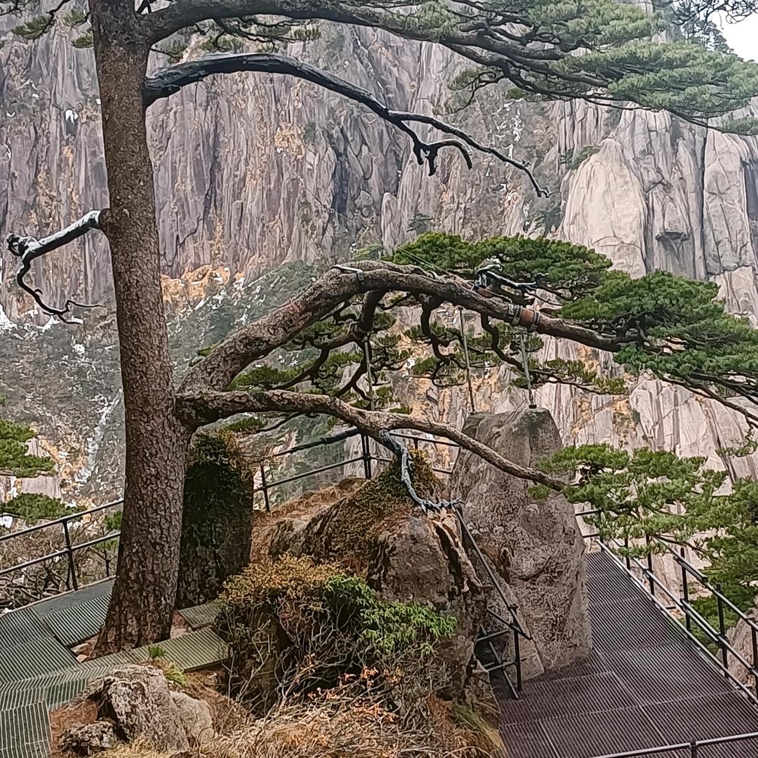 老蜗牛