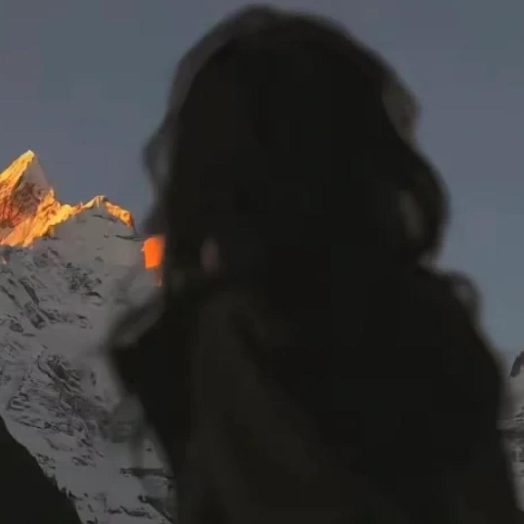 就是不爱吃香菜