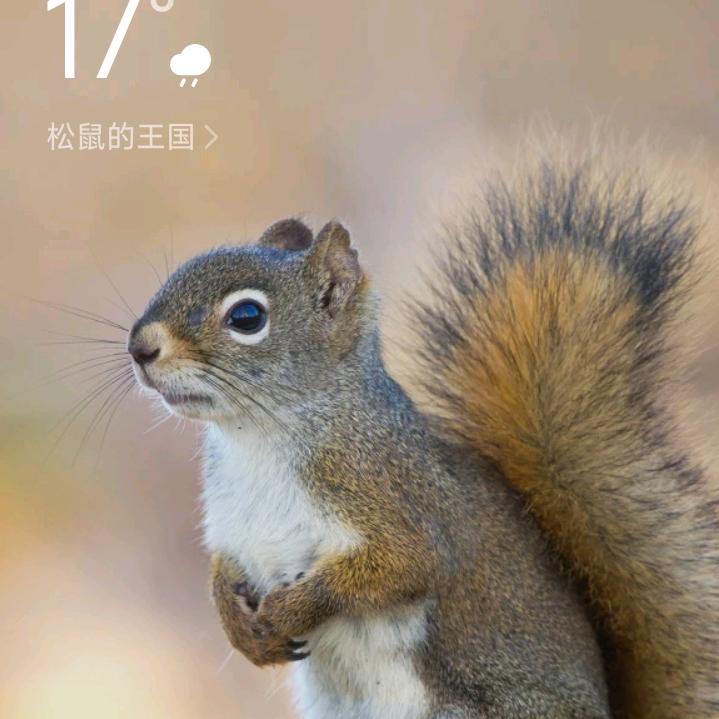 卖鱼达人超超