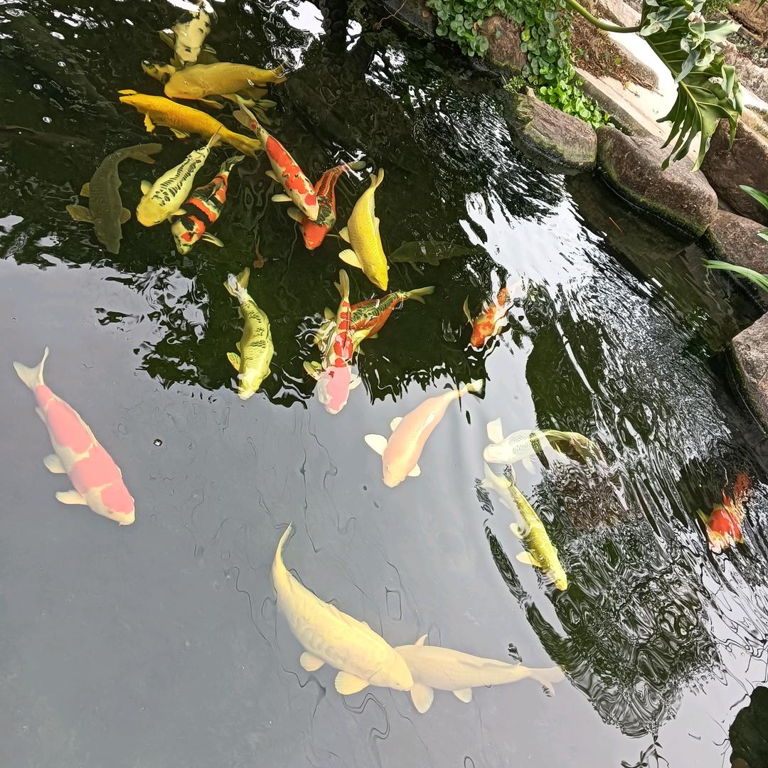 未来靠自己