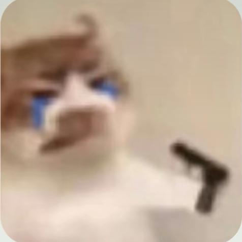 小小呆崽