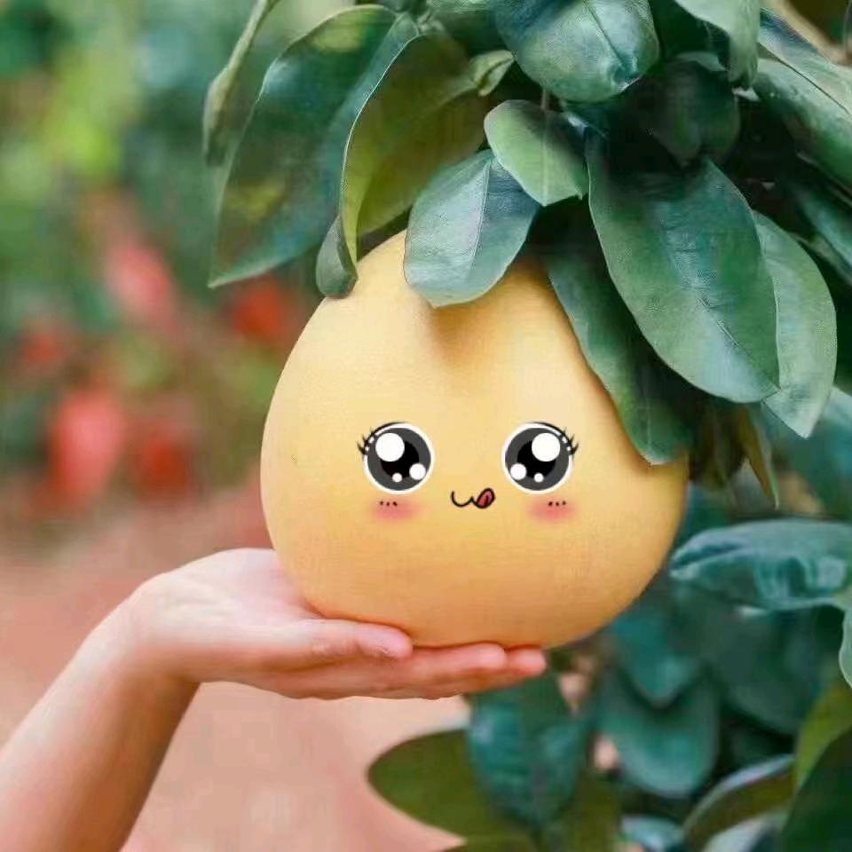 人生这辈子很难