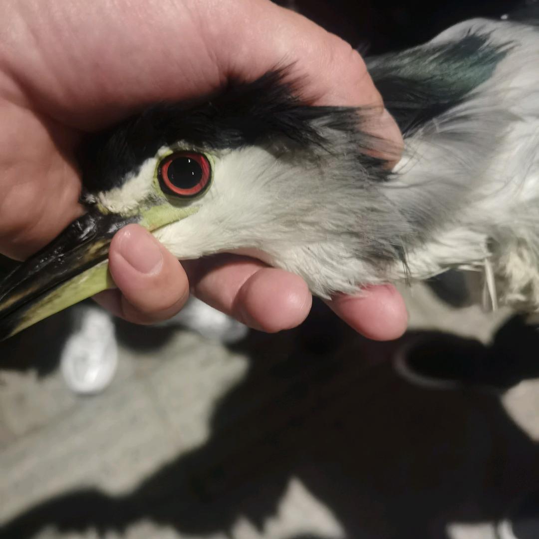 开悟