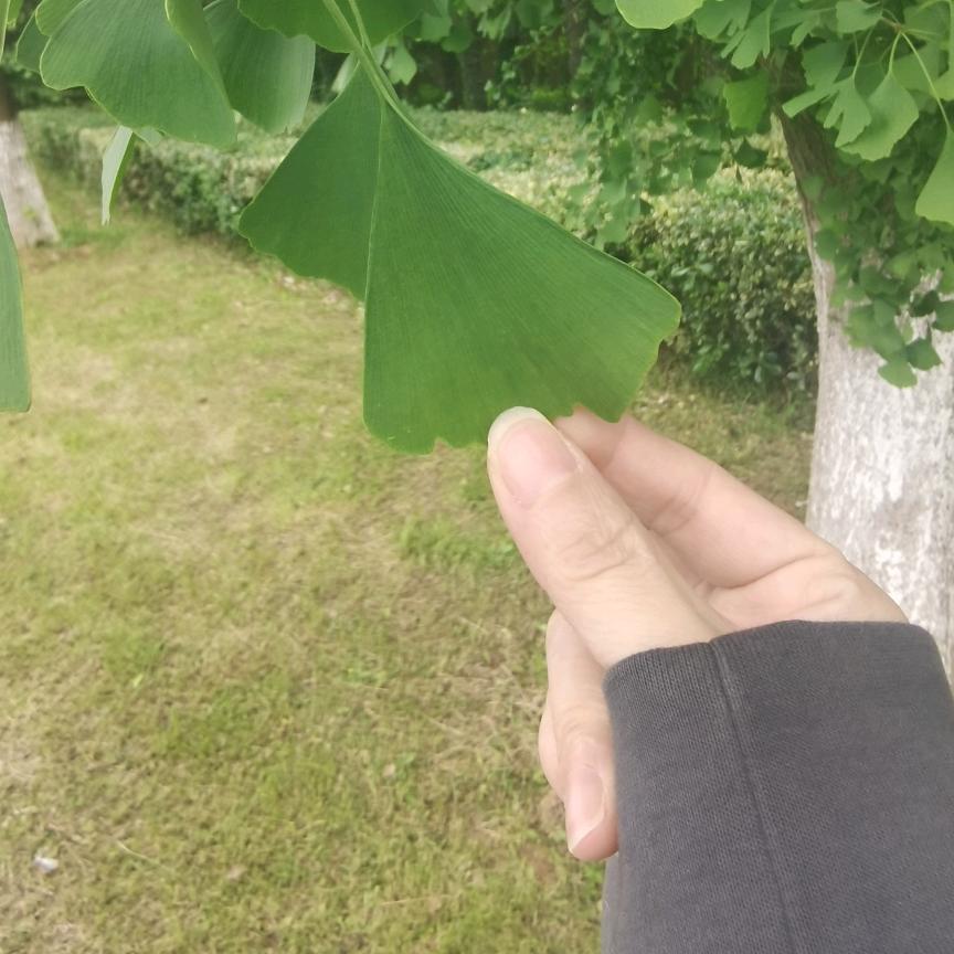 清零🌻