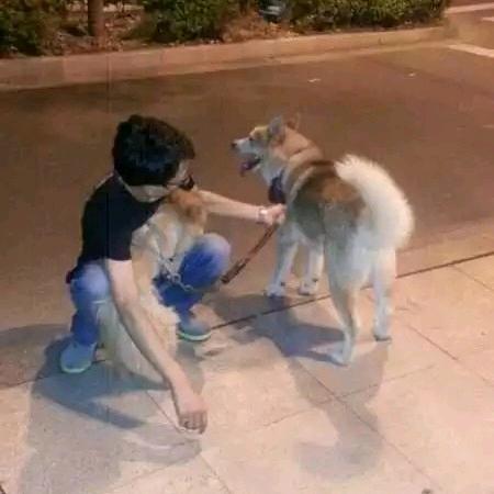 小宝贝。