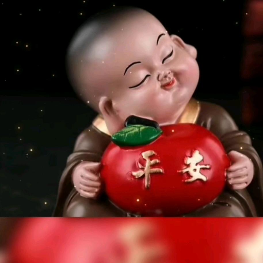 喜缘小白