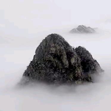 林惠