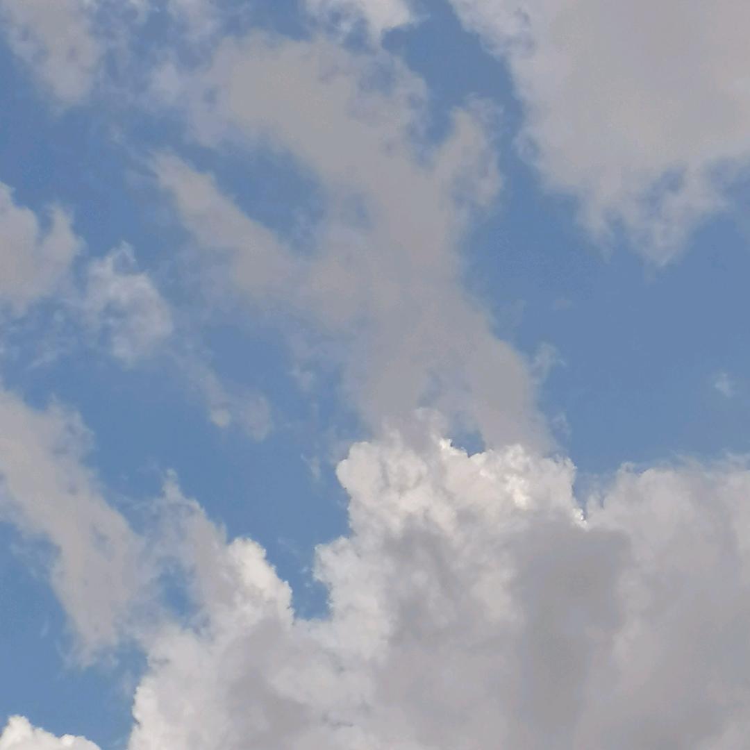 创进者