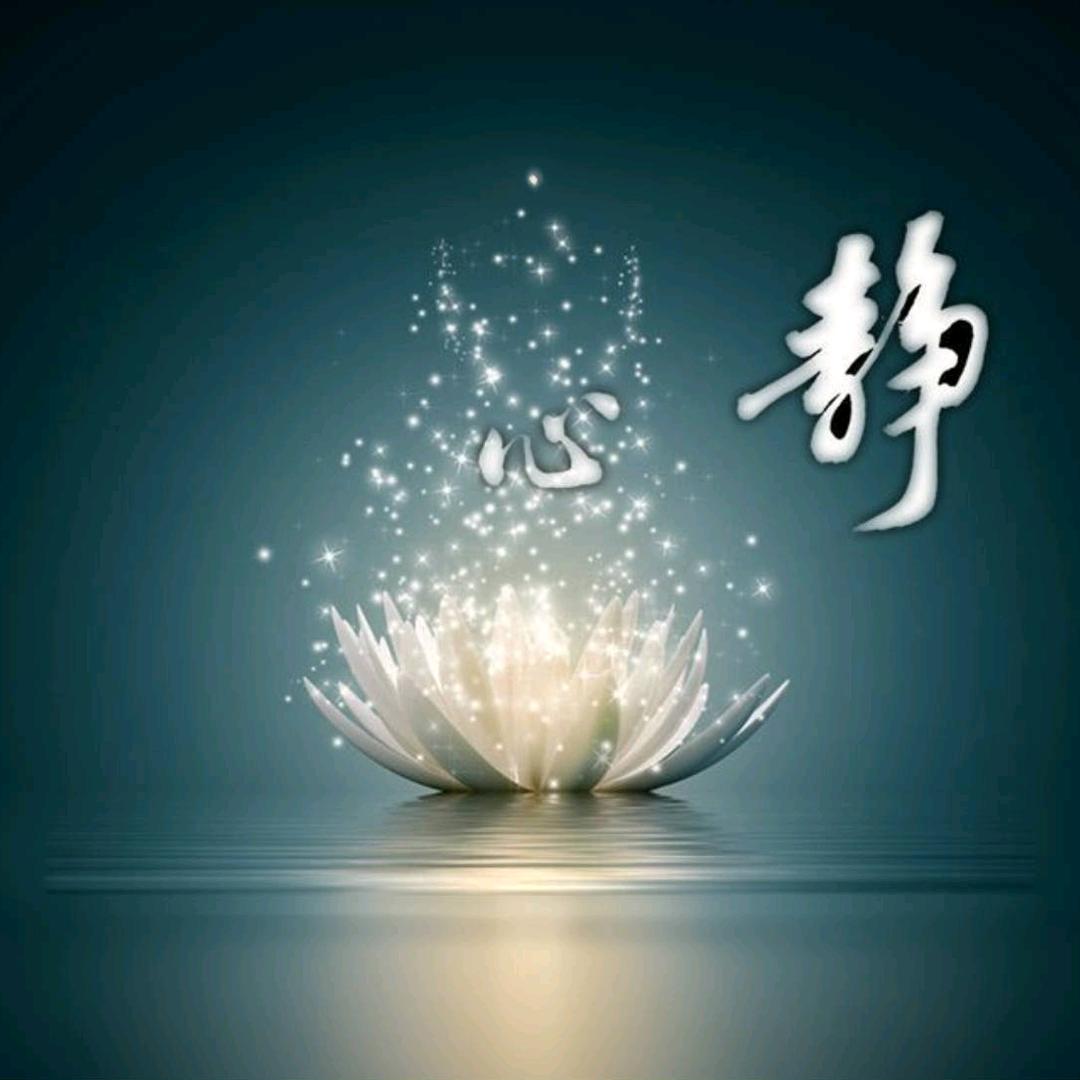 静心..