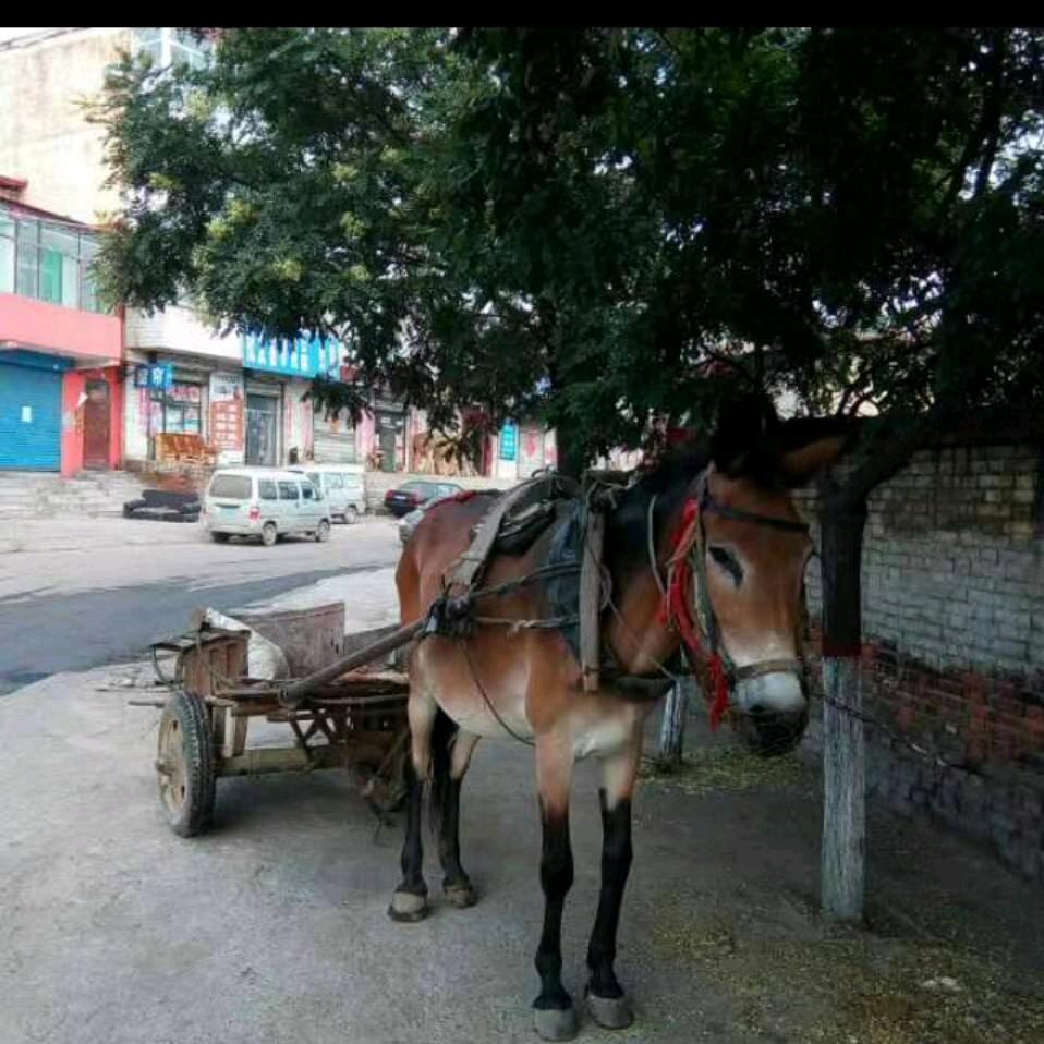我的另一半会是谁。