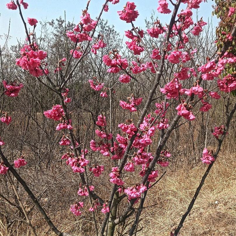 生活点滴