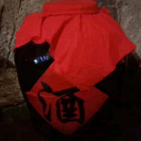 纯粮固态老酒坊